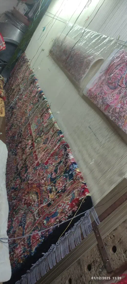 خریدار فرش و فروش فرش و مصالح فرش  تبریز|فرش|اراک, |دیوار