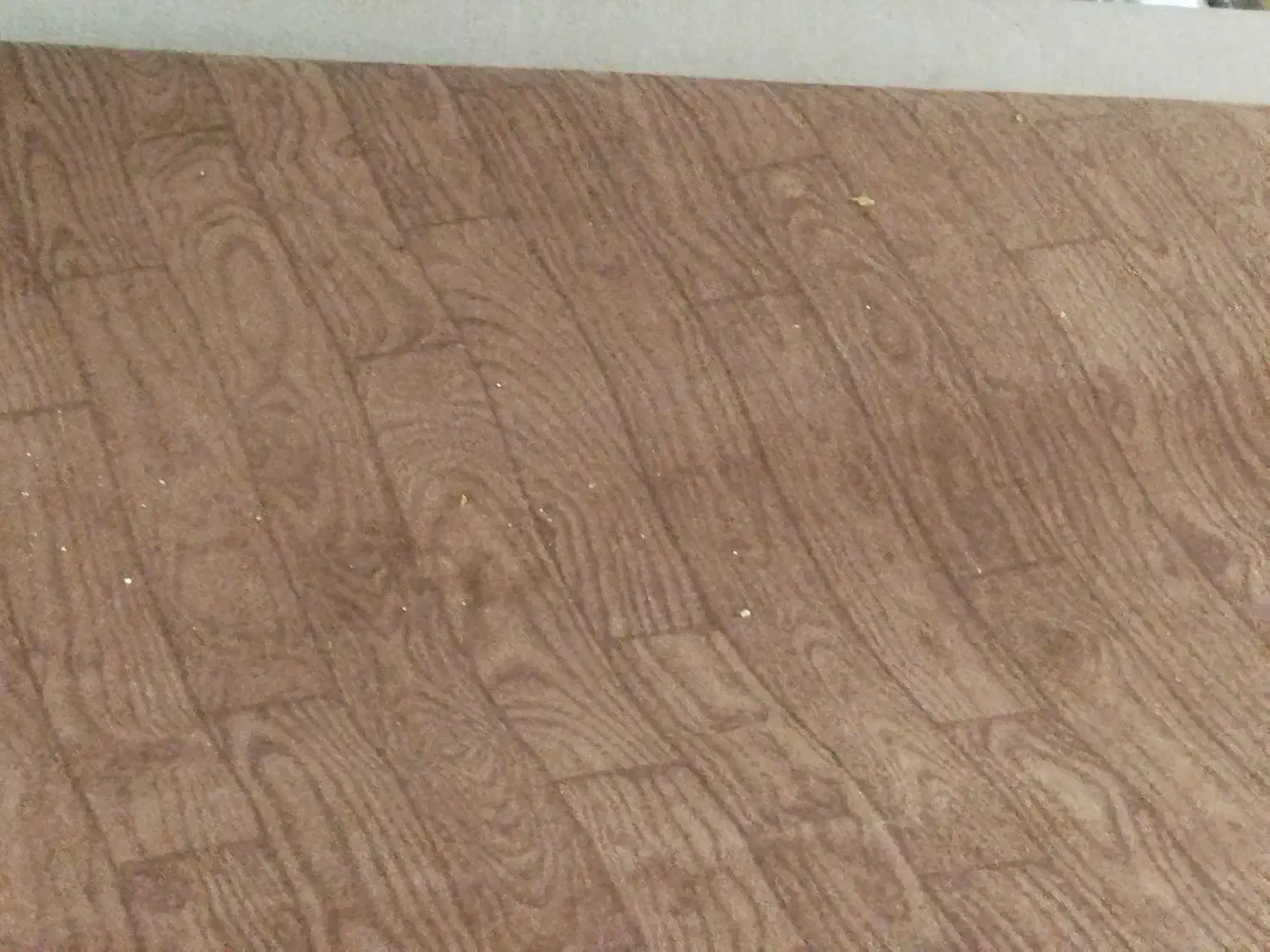 موکت طرح پارکت درحد نو|موکت|سنندج, |دیوار