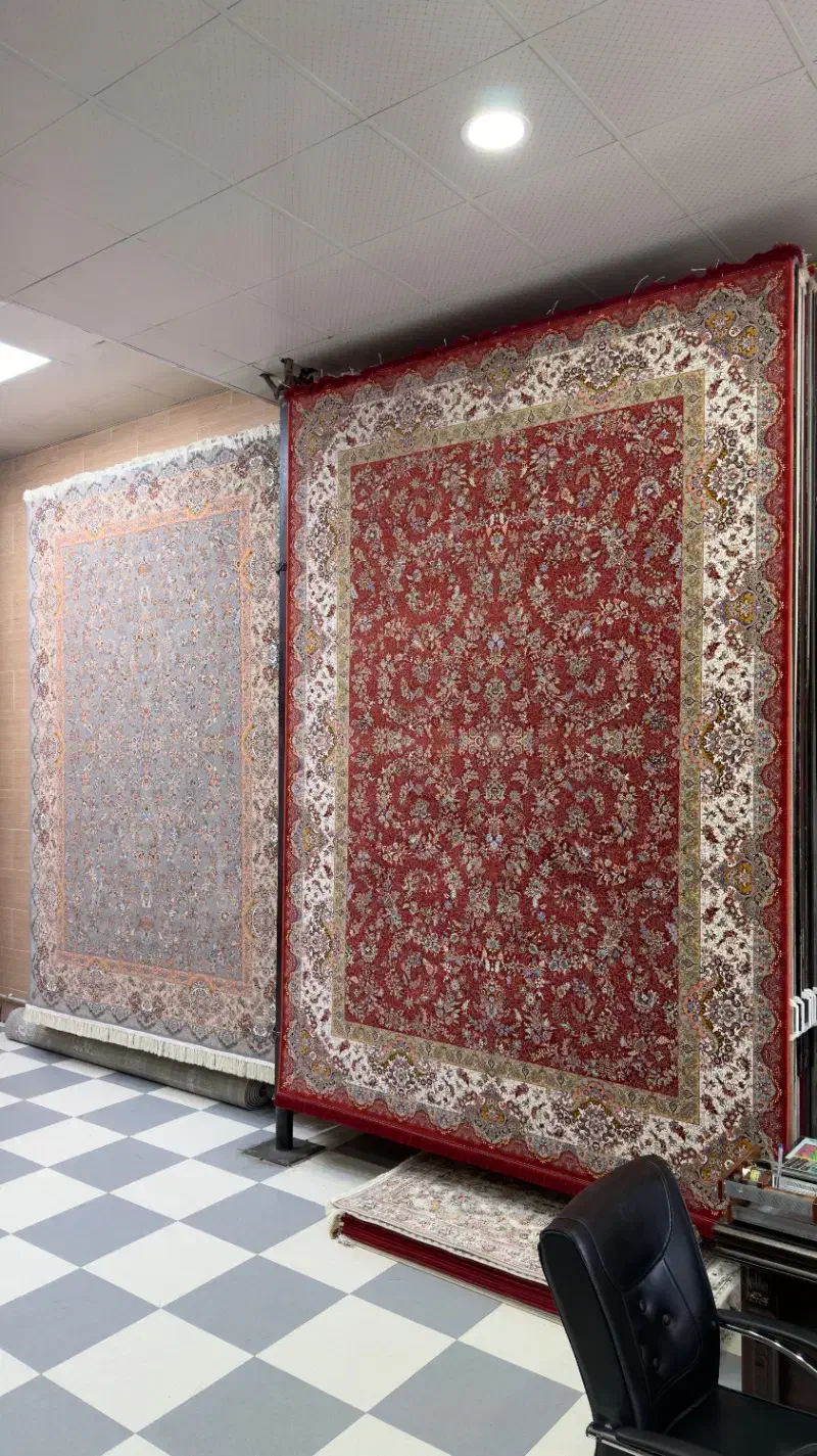 فرش سعید کوی فرهنگ|فرش|زنجان, |دیوار