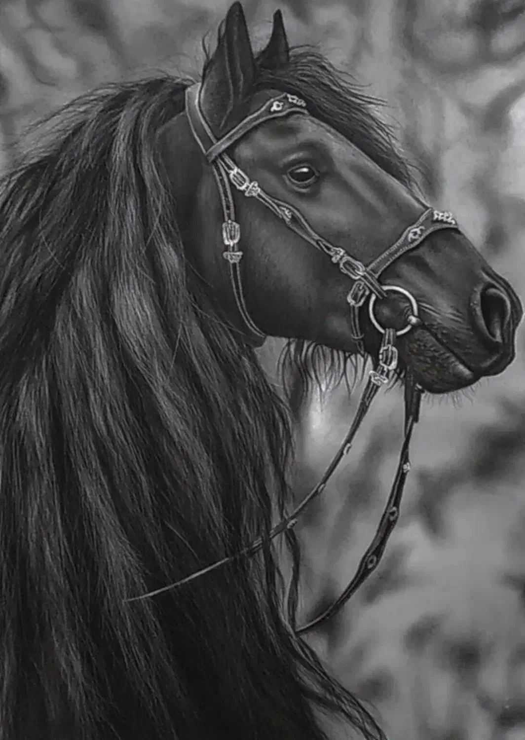 سفارش نقاشی سیاه قلم|تابلو، نقاشی، عکس|سیرجان, |دیوار