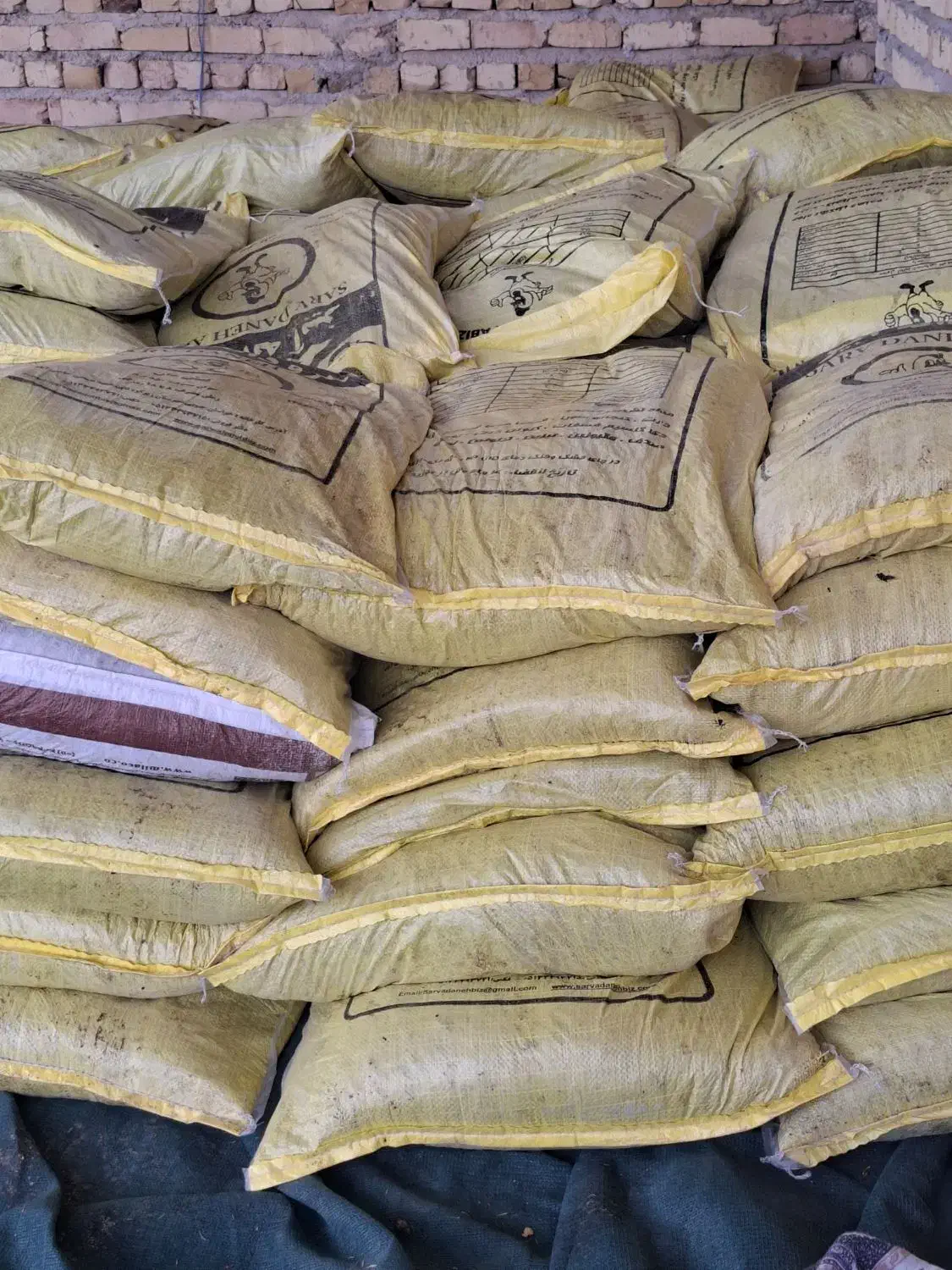 کشمش پاک شده عسکری کیسه 30 کیلو|خوردنی و آشامیدنی|کوار, |دیوار