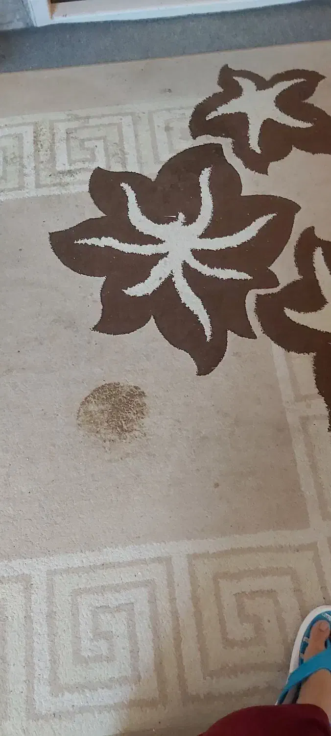 فرش|فرش|شاهرود, |دیوار