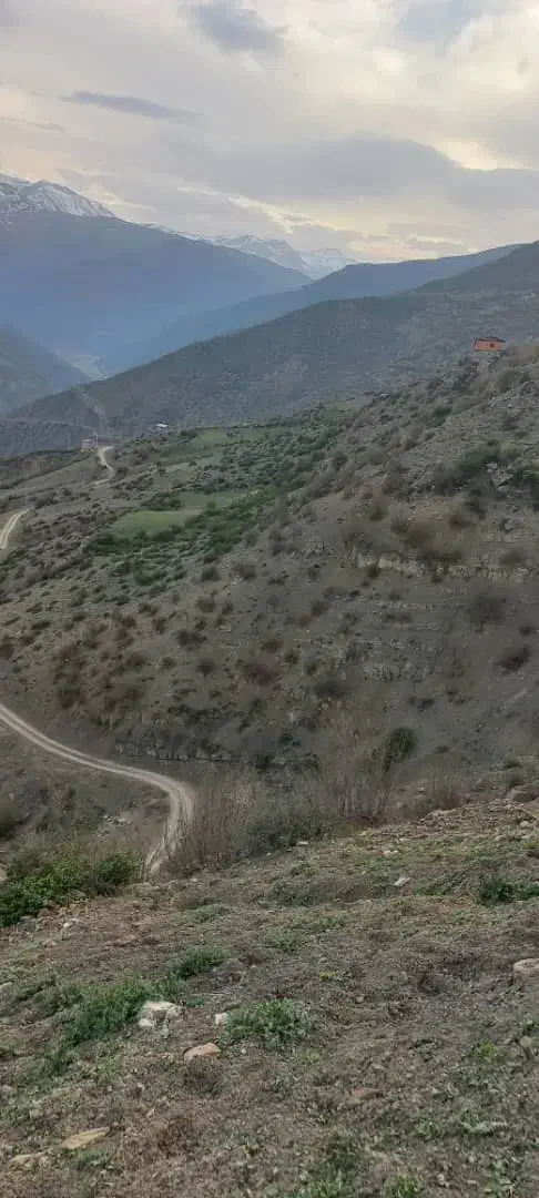 ۱۷۰۰ زمین در آلاشت|فروش زمین و ملک کلنگی|آلاشت, |دیوار