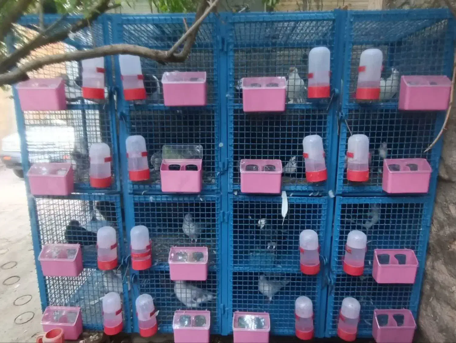 جفت کن|لوازم جانبی حیوانات|مبارکه, |دیوار