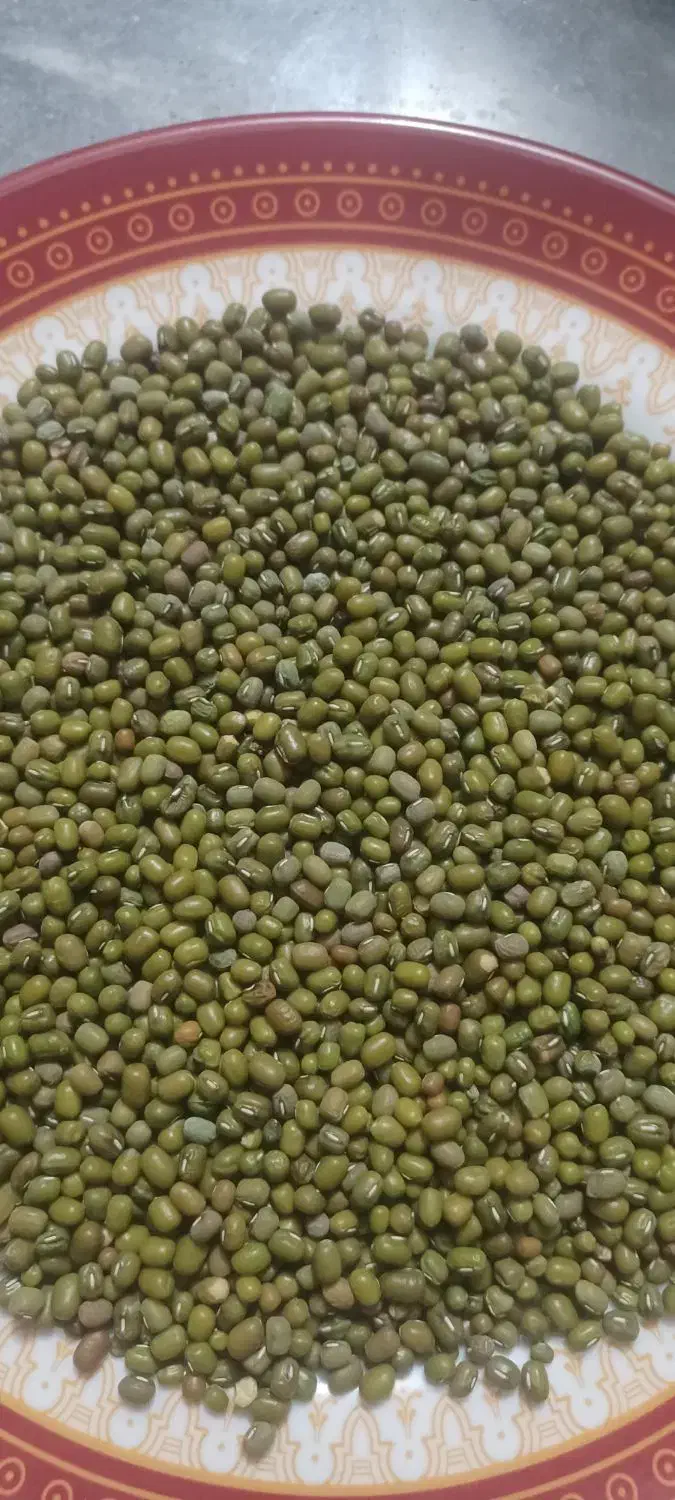 ماش دانه درشت تمیز بدون نپزو|خوردنی و آشامیدنی|دهدشت, |دیوار