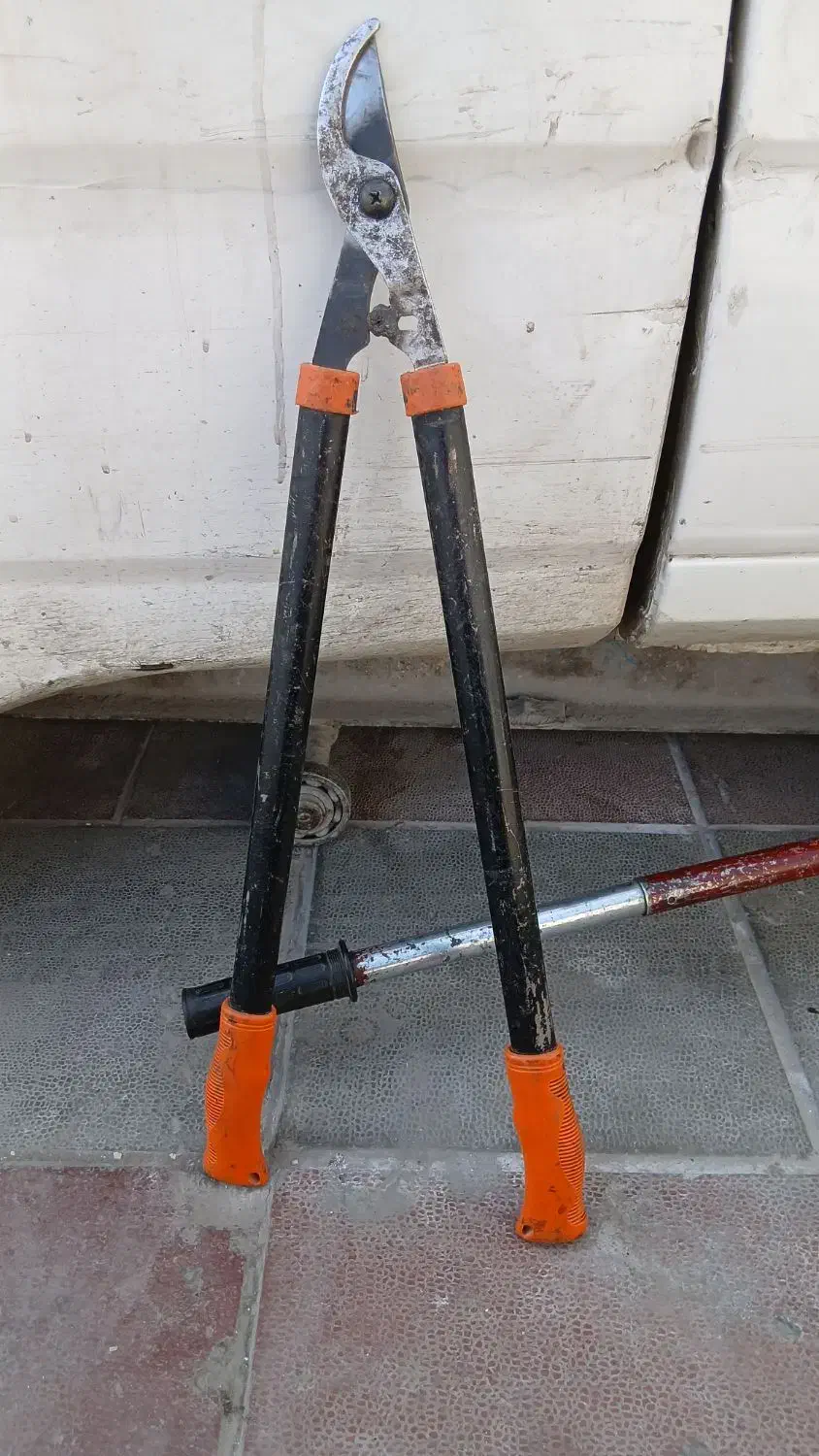 یک عدد قیچی شاخه زنی|ابزارآلات|قرچک, مهدیه|دیوار