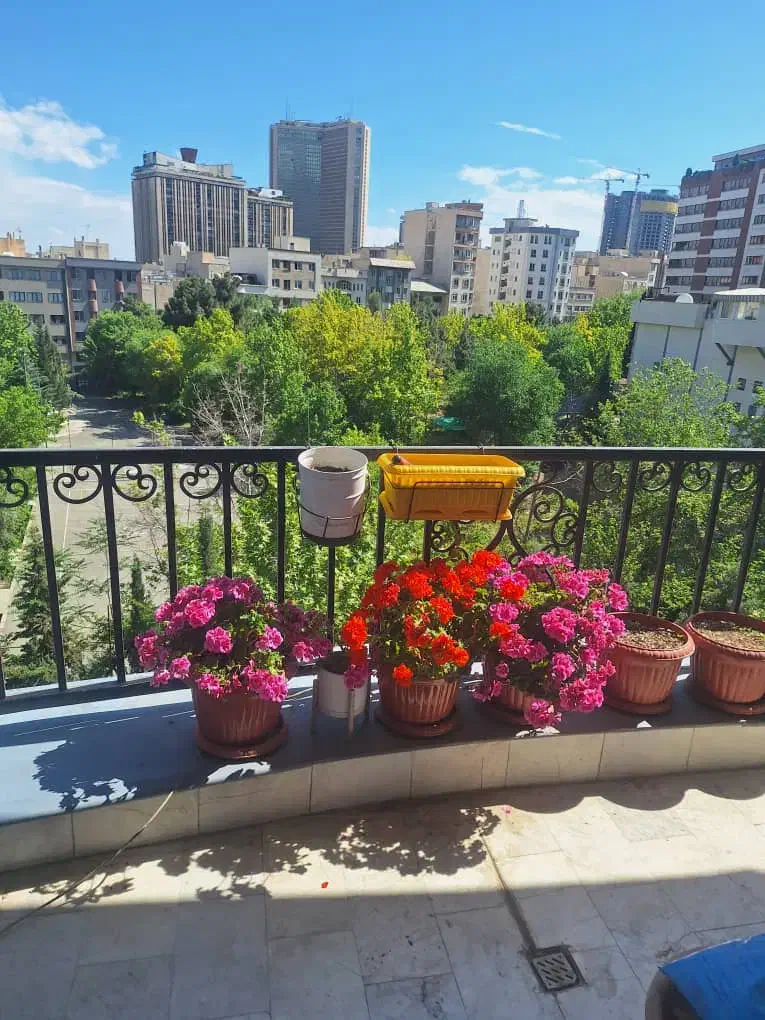 شیرازی/۱۷۰ متر/۳ خواب/تک واحدی/ ویو ابدی|فروش آپارتمان|تهران, شیراز|دیوار