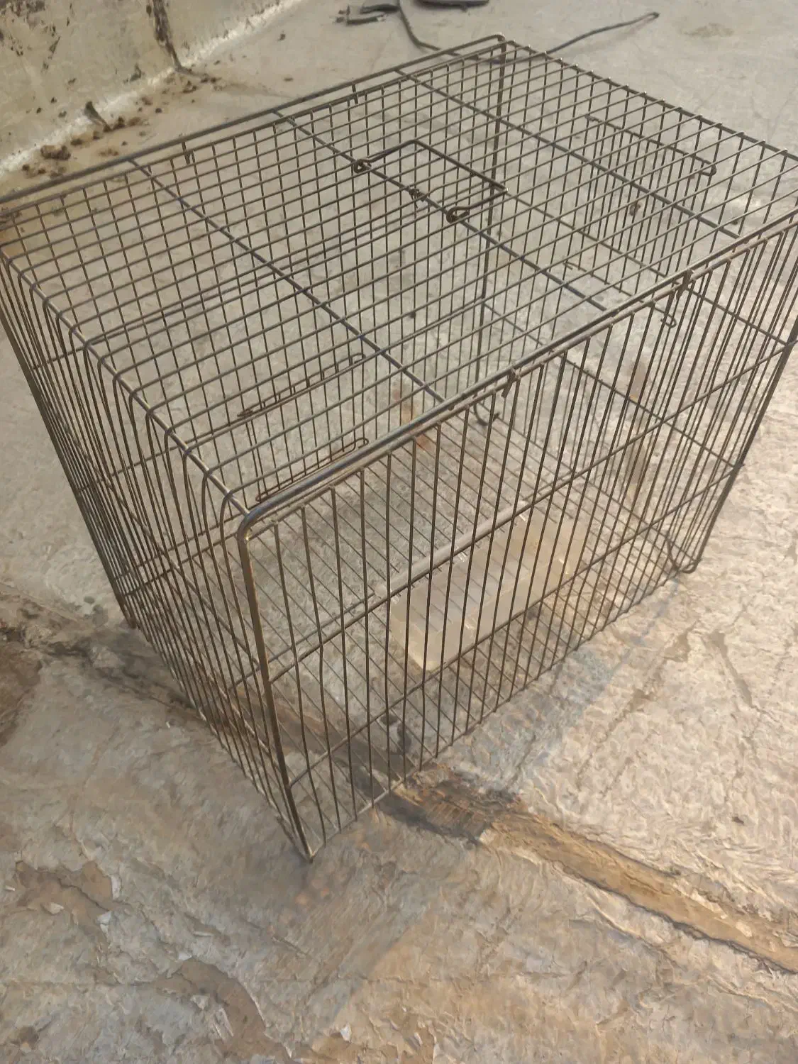 قفس پرنده|لوازم جانبی حیوانات|نسیم‌شهر, |دیوار