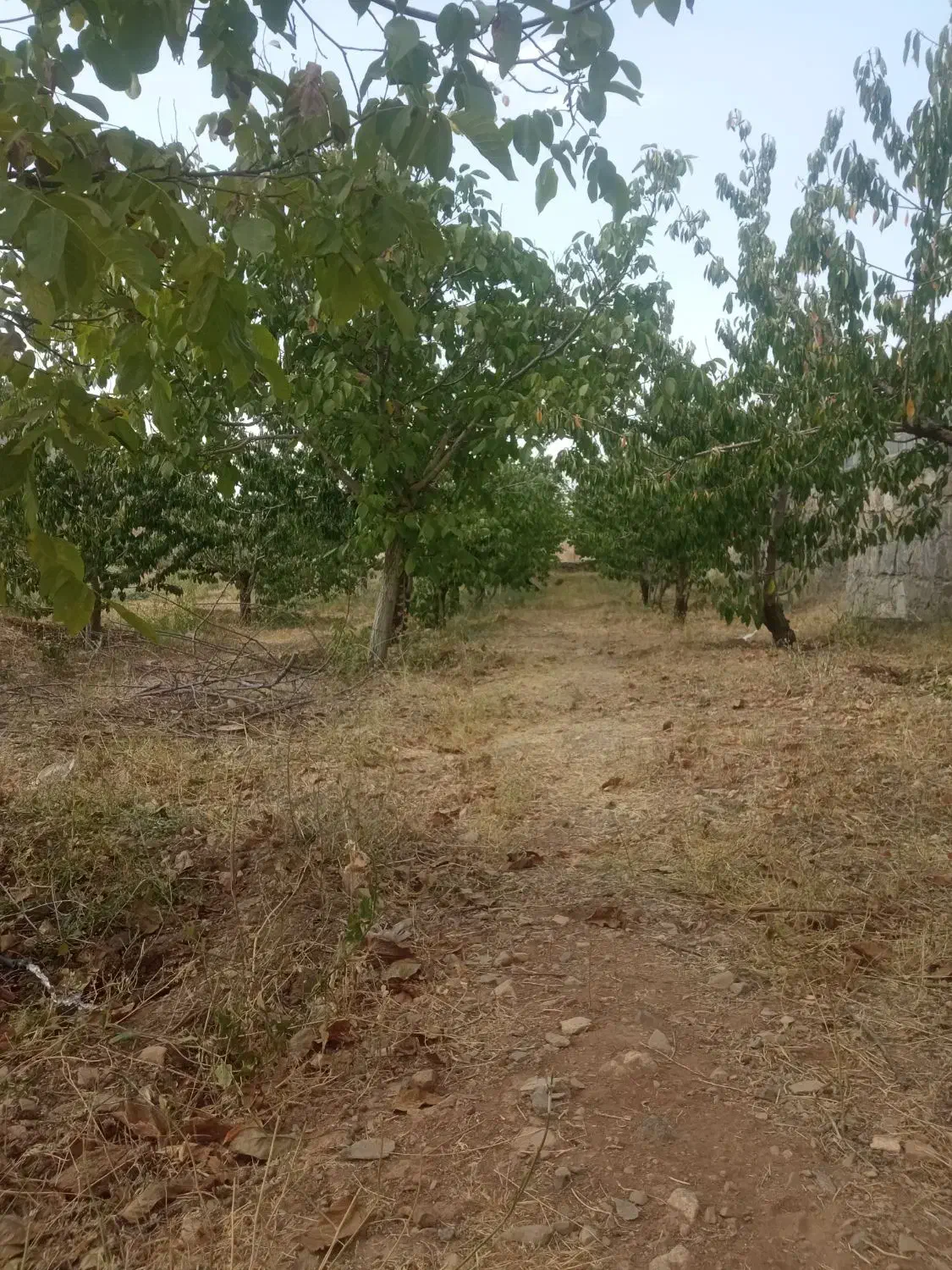 باغچه 400متری کرمجگان|فروش زمین و ملک کلنگی|قم, زنبیل آباد|دیوار