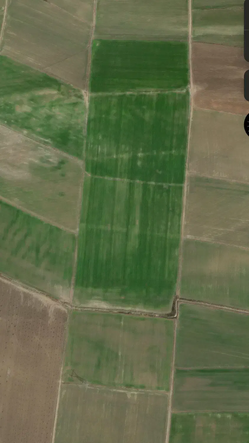 زمین کشاورزی به‌اجاره داده میشود|فروش دفتر صنعتی، کشاورزی، تجاری|قشلاق دشت, |دیوار