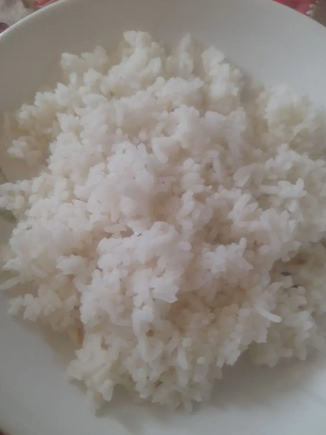 برنج سوسن|خوردنی و آشامیدنی|ایذه, |دیوار