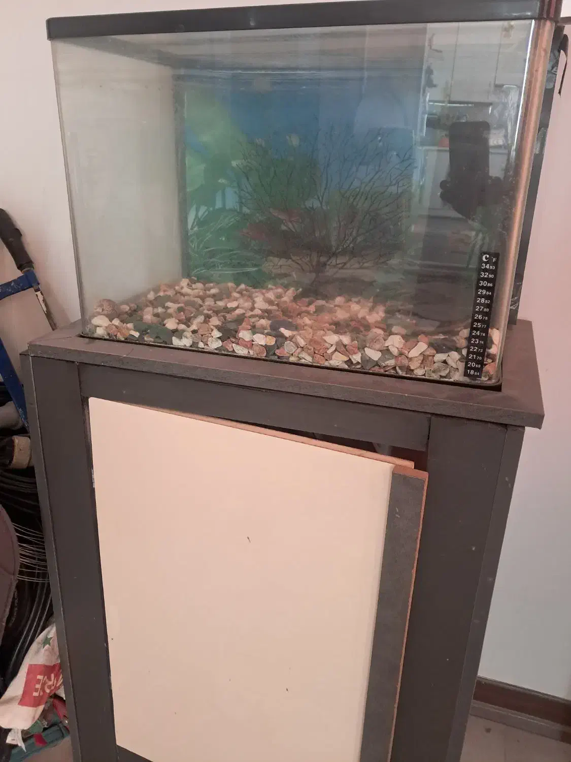 آکواریوم شیشه خم با تمام وسایل مورد نیاز و پایه|ماهی|کرج, باغستان|دیوار