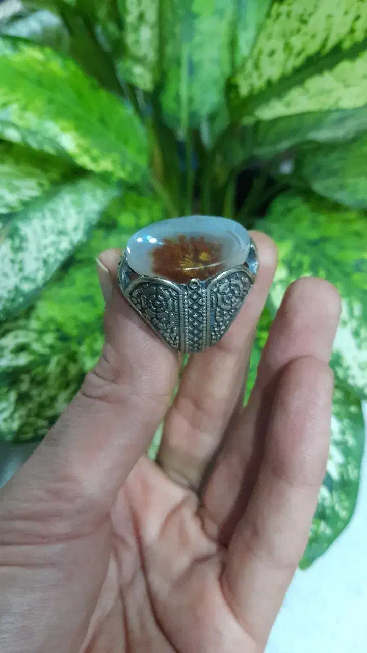 انگشتر شجر زیبای گل اناری|کلکسیون اشیاء عتیقه|رشت, عینک|دیوار