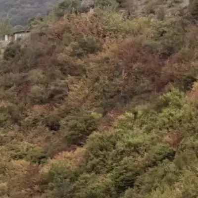 فروش ویلا۳طبقه کنارجاده مشهدبین روستای پاسنگ و لوه|فروش خانه و ویلا|صادق آباد, |دیوار