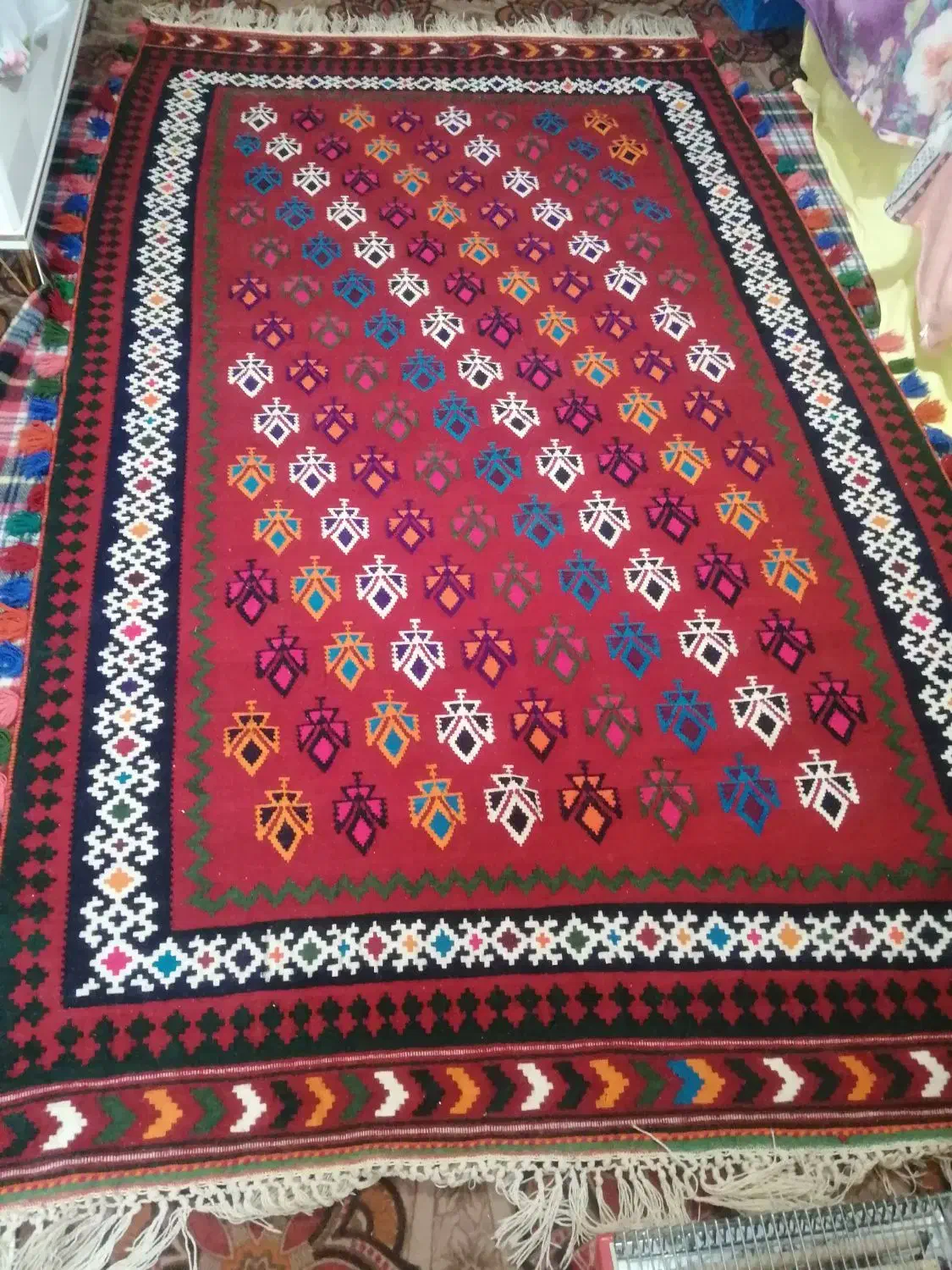 فروش گلیم دستباف قشقایی|گلیم، جاجیم، گبه|شیراز, شیخ روزبهان|دیوار