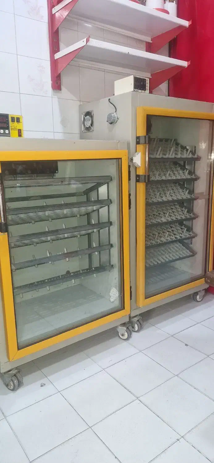 دستگاه جوجه کشی سیمرغ جنوب|لوازم جانبی حیوانات|شیراز, شیشه‌گری|دیوار