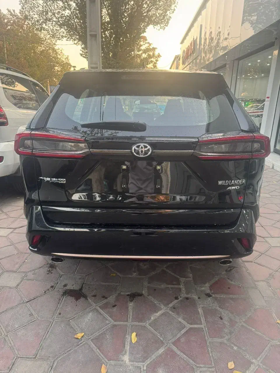 وایلندر2025|خودرو سواری و وانت|تهران, الهیه|دیوار