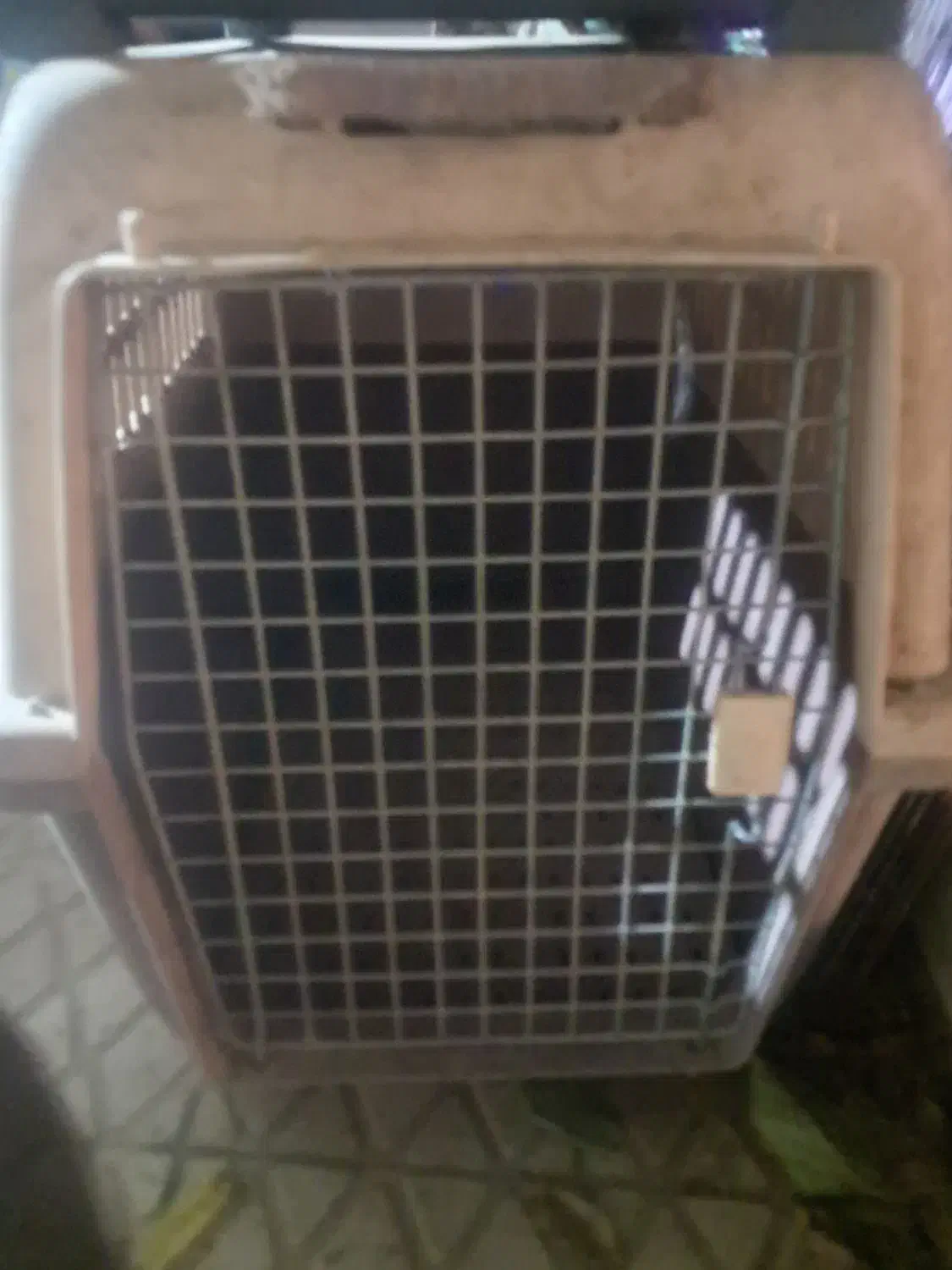 باکس  سایز ۸|لوازم جانبی حیوانات|تهران, قبا|دیوار