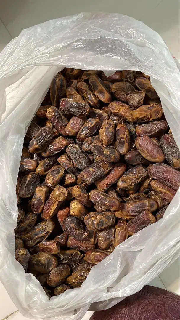 فروش خرما پیارم درجه یک به مقدار صد کیلو|عمده‌فروشی|فولادشهر, سایت صنعتی کاوه|دیوار