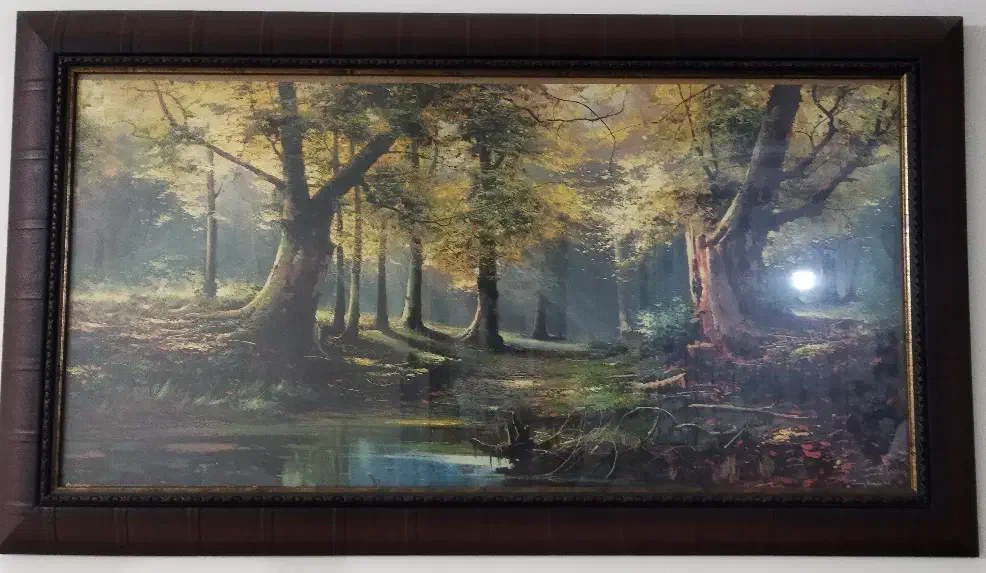 تابلو دیواری|تابلو، نقاشی، عکس|صحنه, |دیوار