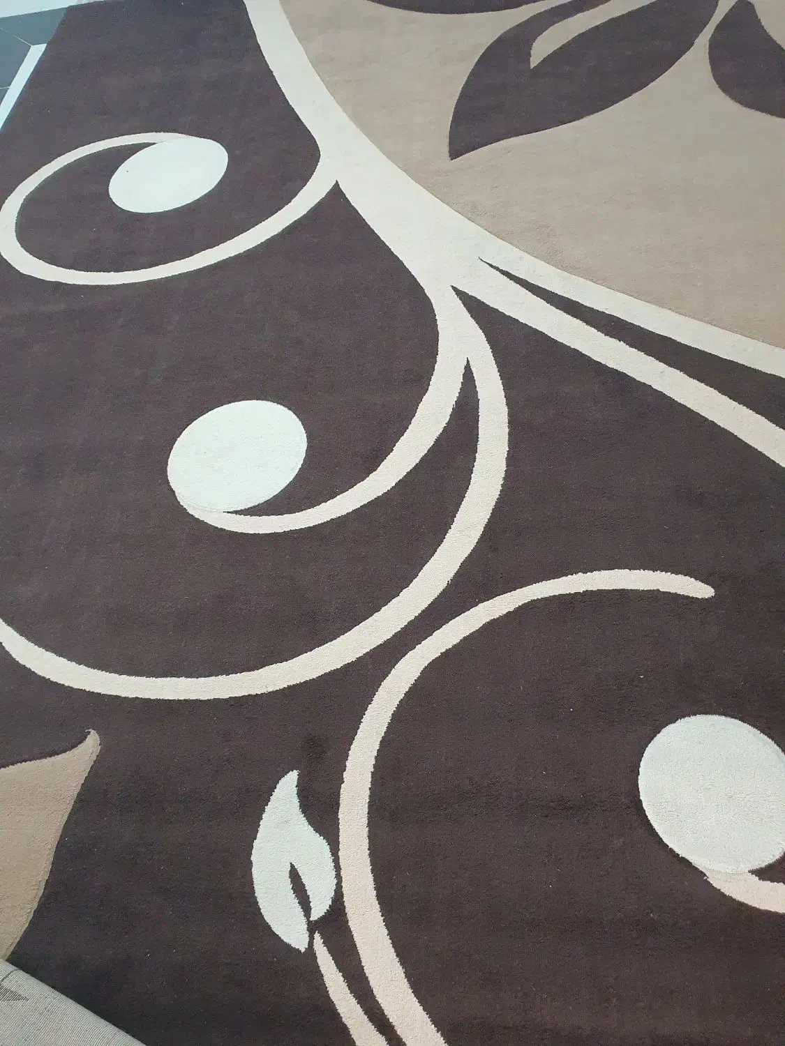 فروش ۲عدد گلیم فرش ۱۲ متری|گلیم، جاجیم، گبه|اسیر, |دیوار