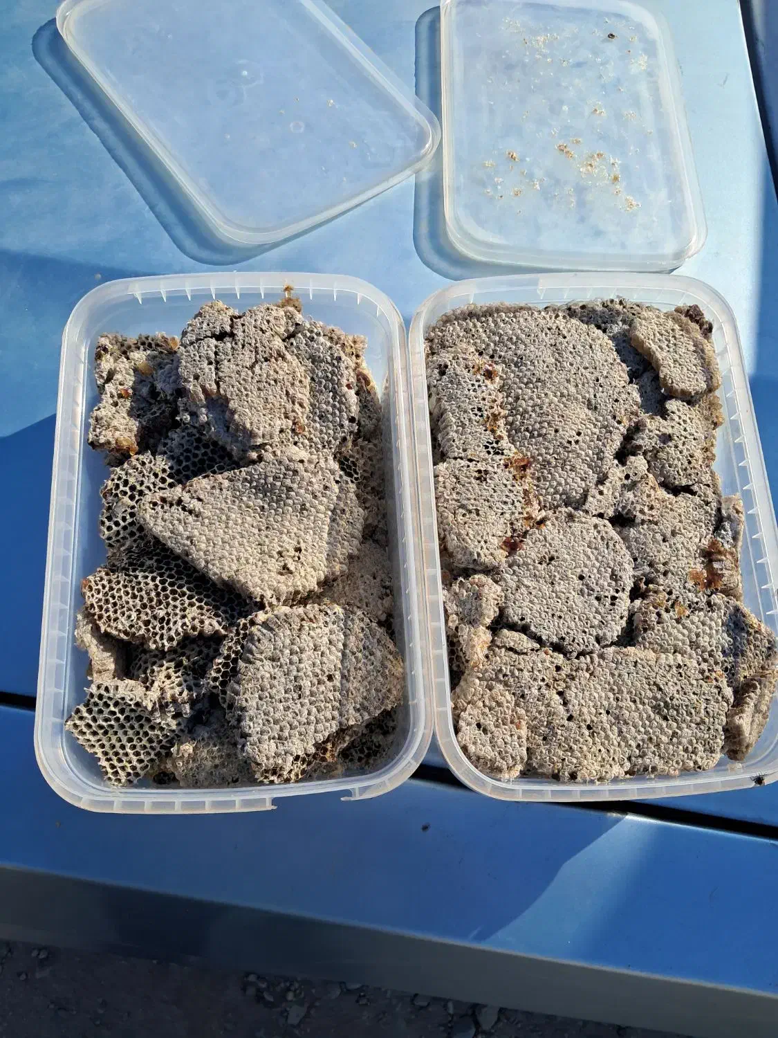 خرید وفروش عسل خشک|خوردنی و آشامیدنی|درب بهشت, |دیوار