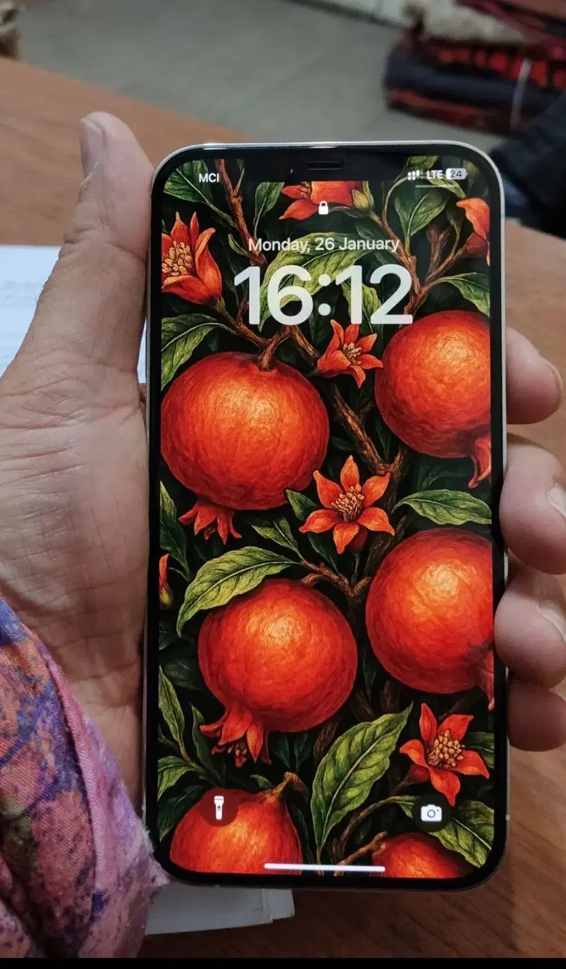 آیفون ۱۲ پرومکس پلمپ|موبایل|تبریز, |دیوار