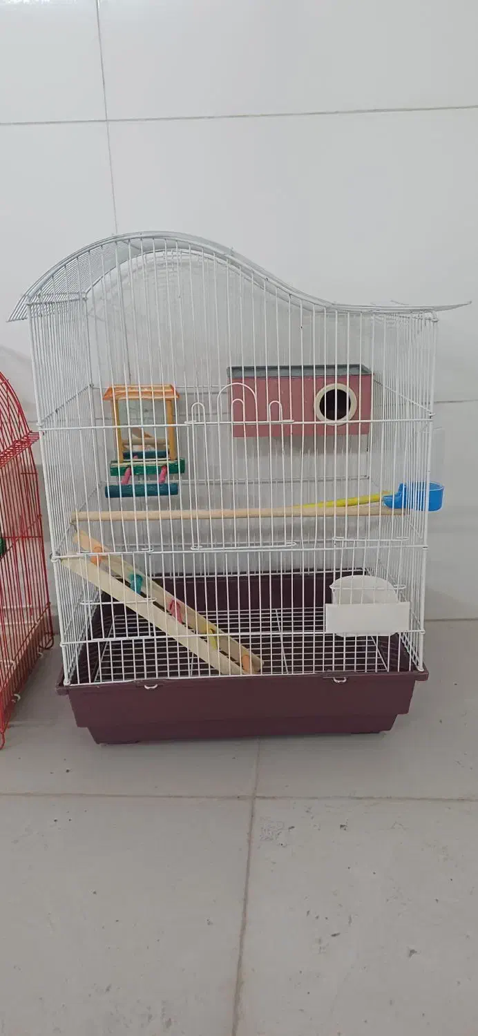 دو تا قفس|لوازم جانبی حیوانات|پیرانشهر, |دیوار
