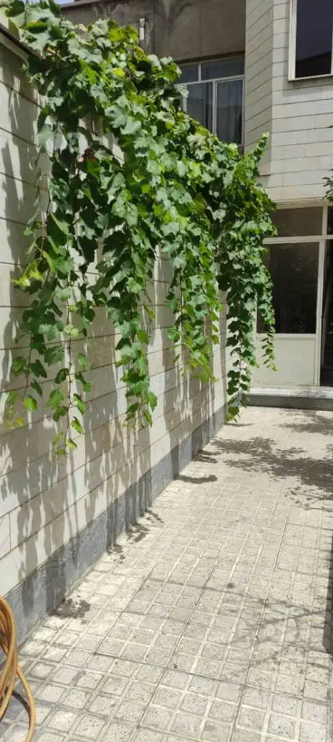 60مترتک خواب/پارکینگ/انباری/بالکن/بازسازی شده