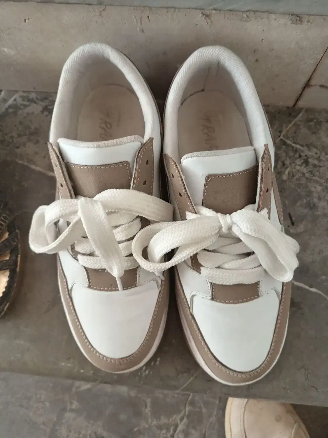 کفش مجلسی و اسپورت|کیف، کفش، کمربند|برخوار, |دیوار