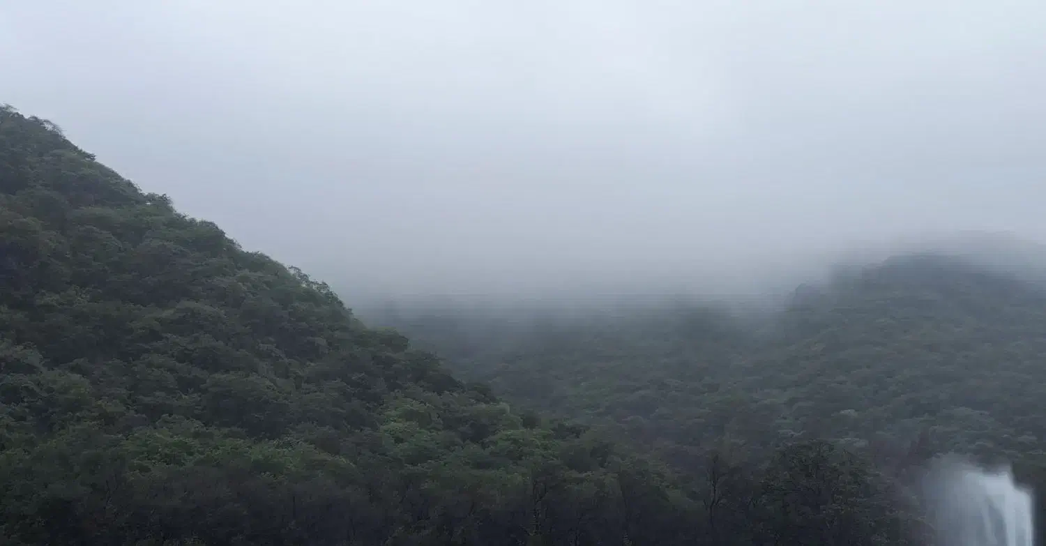 واحد ۳ خواب شیک ابریشمی|فروش آپارتمان|شیراز, تپه تلویزیون|دیوار