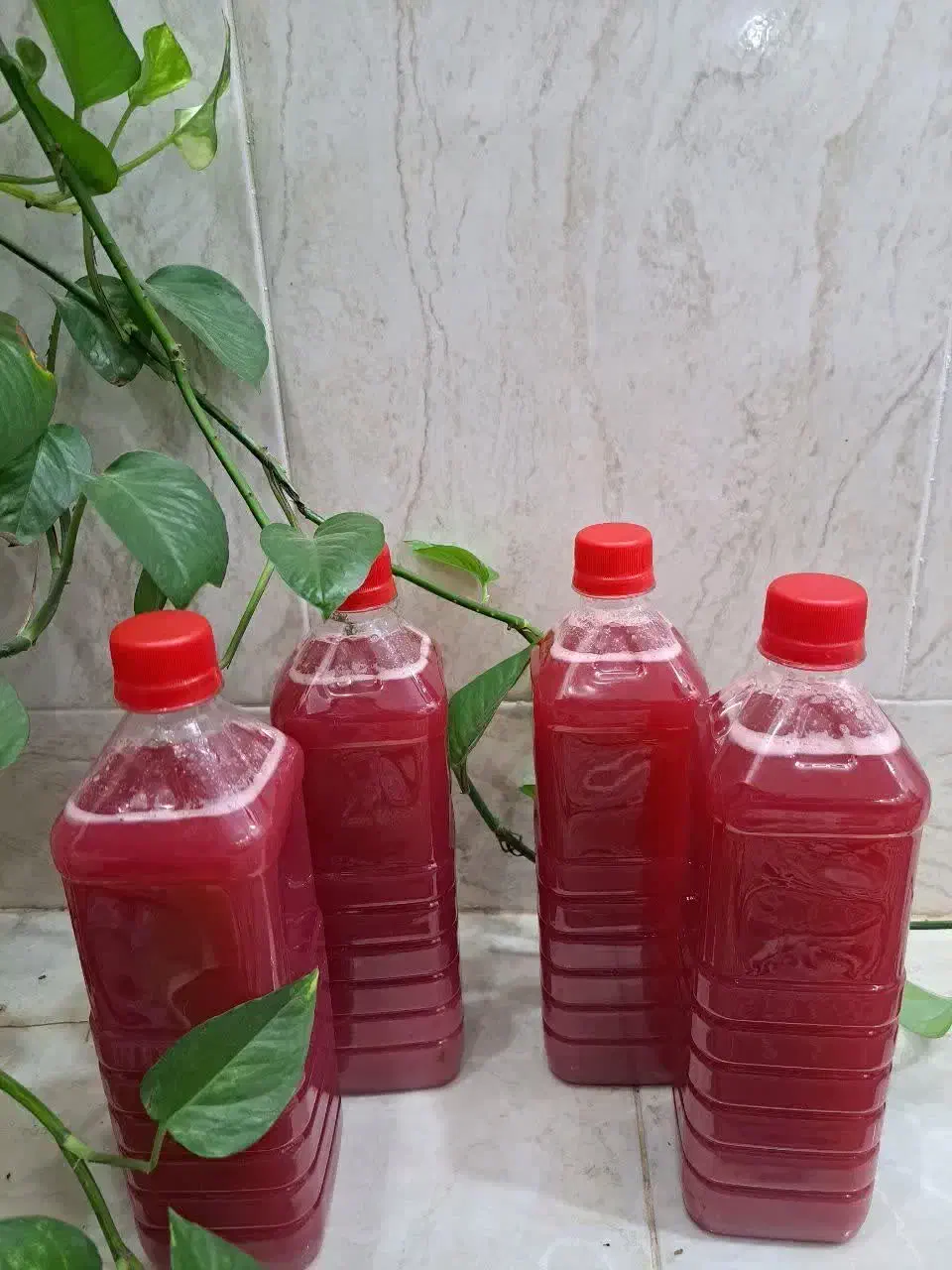 انار|خوردنی و آشامیدنی|میبد, |دیوار