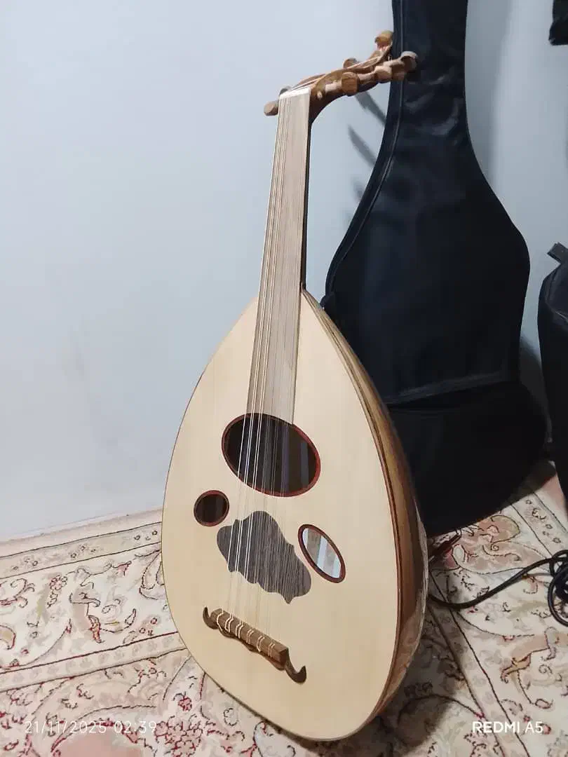 عود|سازهای سنتی|بندرعباس, |دیوار