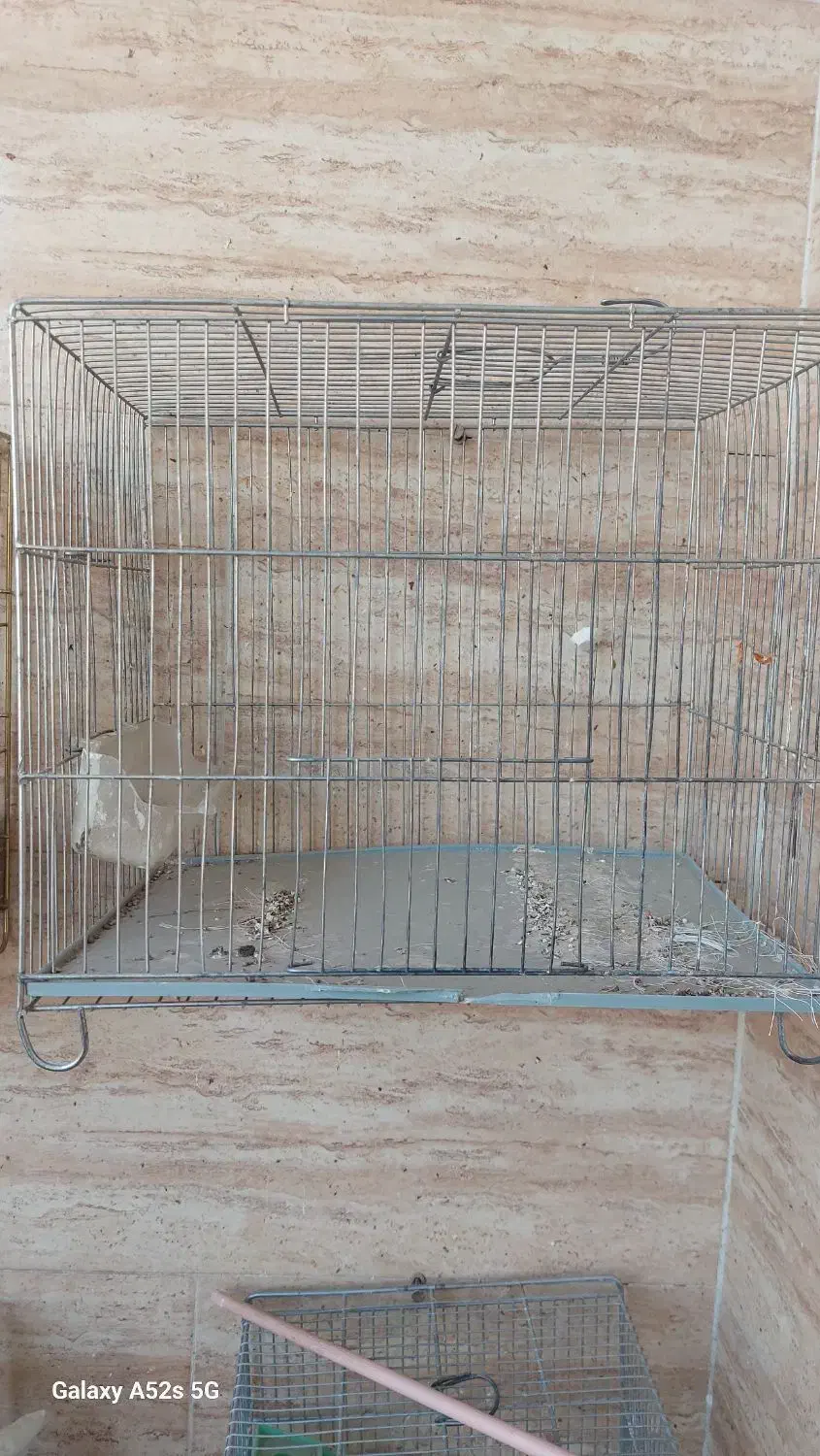 قفس پرنده سهره و قناری|لوازم جانبی حیوانات|کرمانشاه, |دیوار