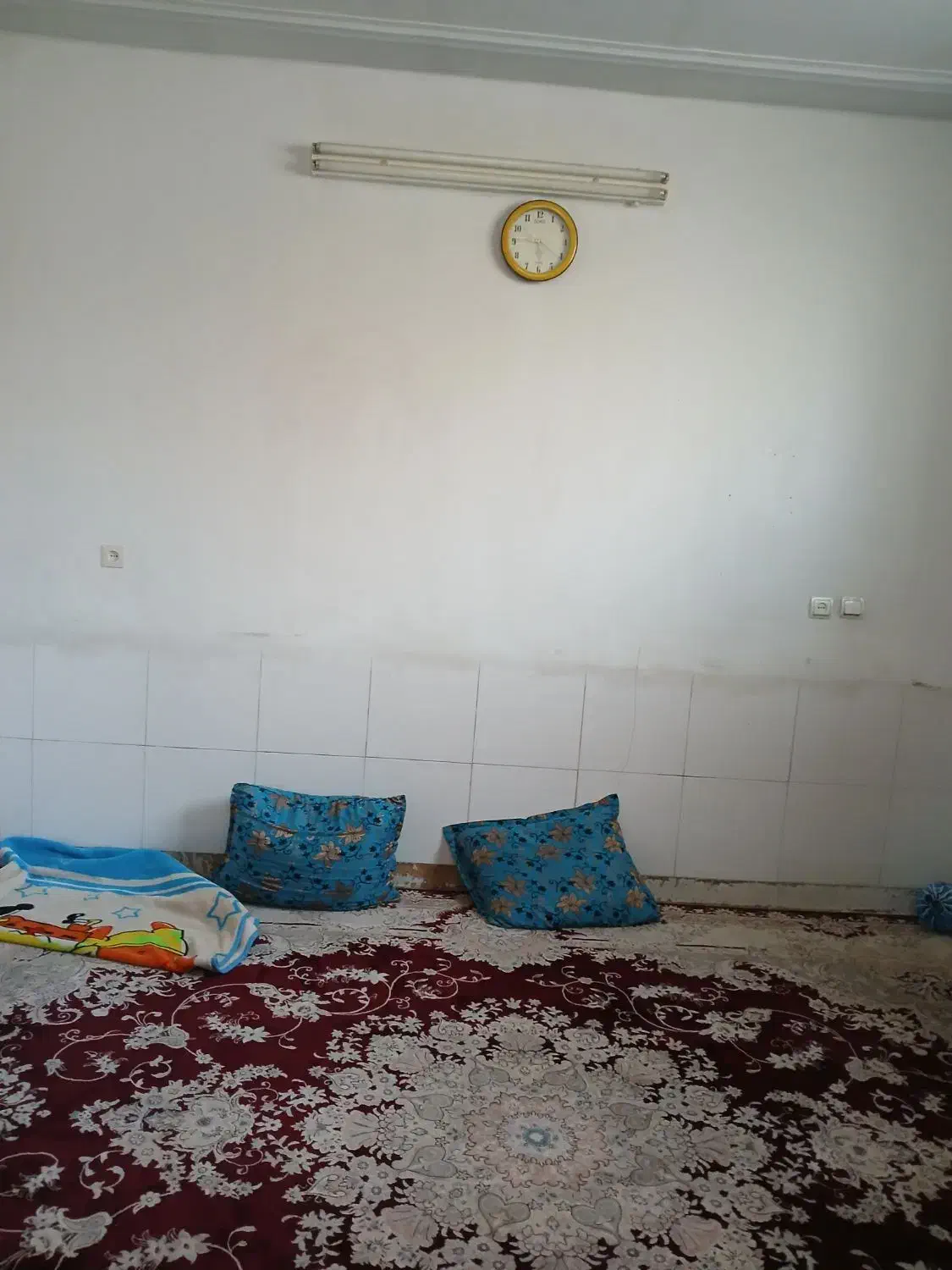 اجاره خانه ویلایی ۵۰ متری ۱ خوابه در سعدیه جنوبی|اجارهٔ خانه و ویلا|شیراز, سعدیه جنوبی|دیوار