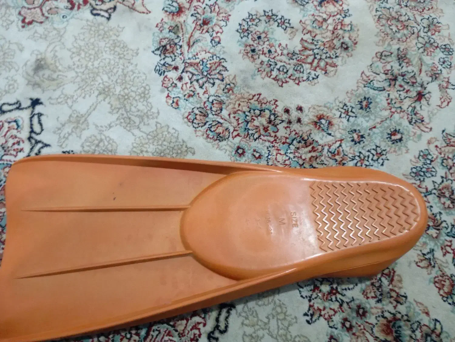 فین شنا|غواصی و ورزشهای آبی|بوشهر, |دیوار