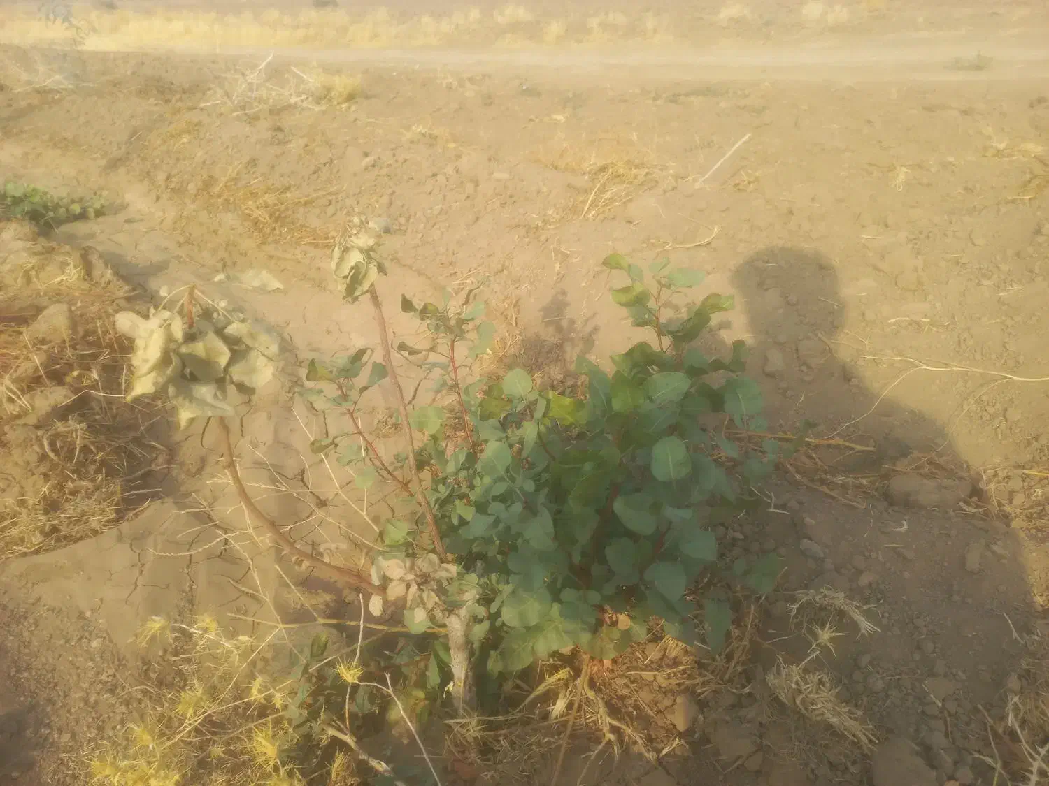 طبیعت گردی وبوم گردی|تور و چارتر|شیراز, بازار|دیوار