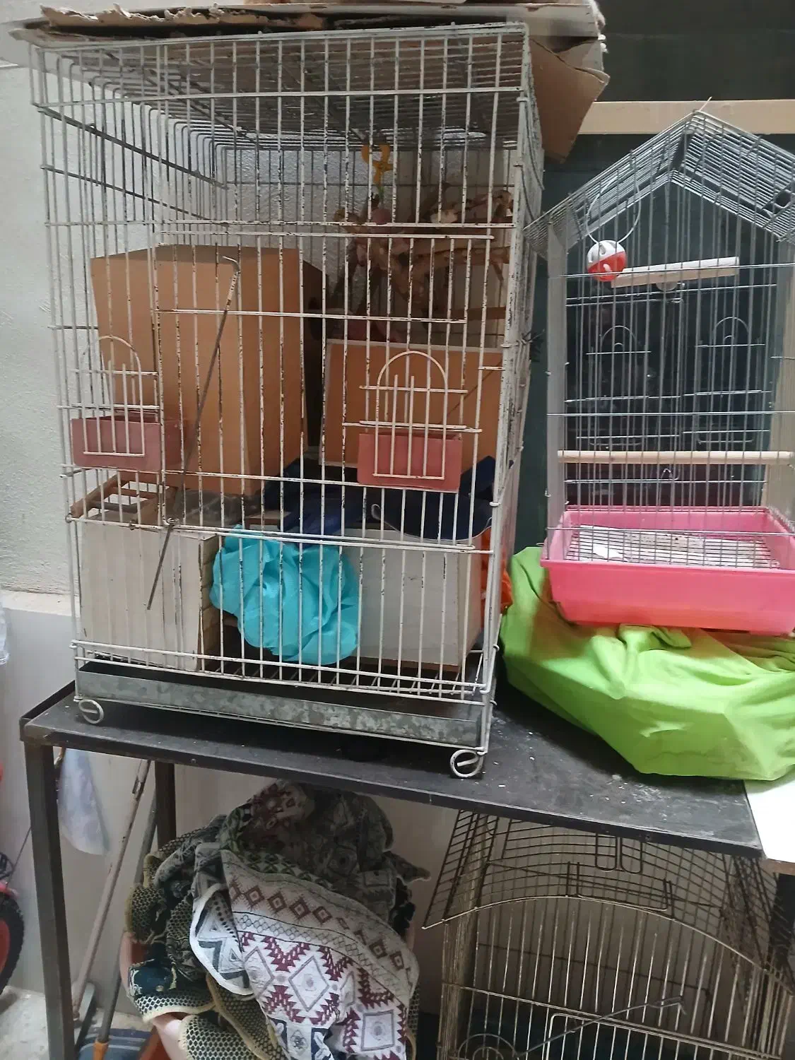 قفس پرنده|لوازم جانبی حیوانات|اسلام‌شهر, زرافشان|دیوار