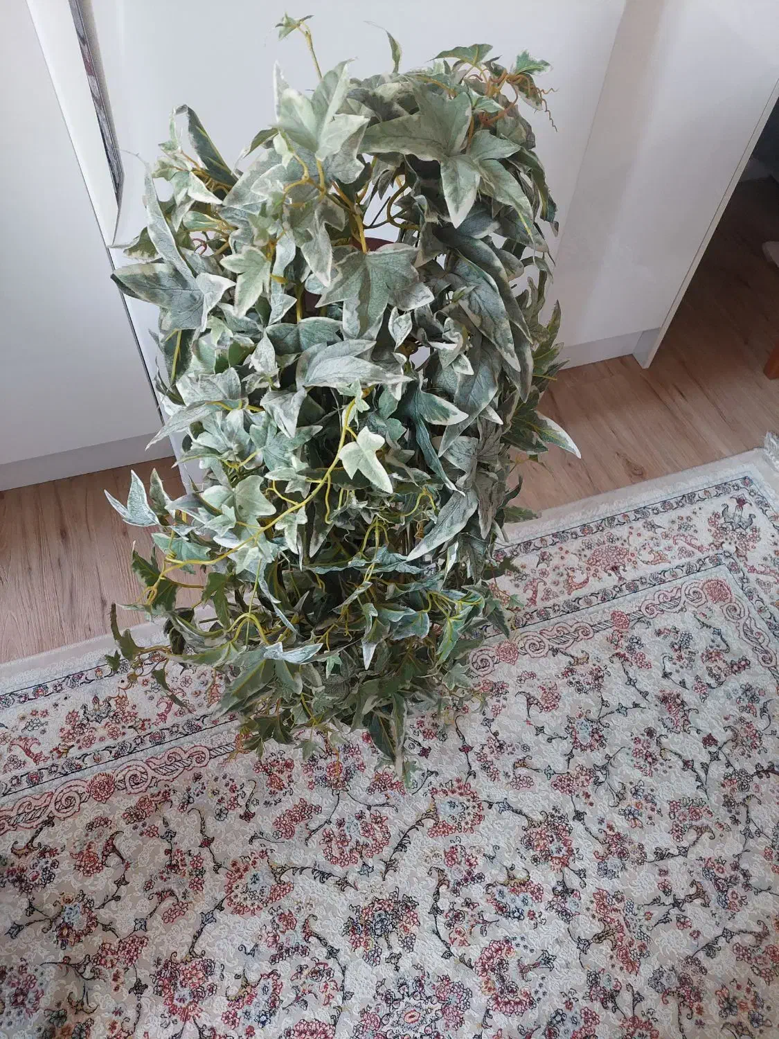 گلدان برگ انجیری|گل مصنوعی|تهران, انبار نفت|دیوار