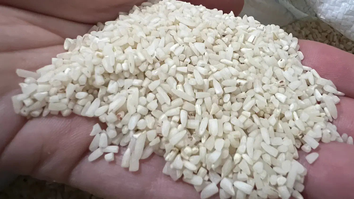 برنج هاشمی و نیم دانه خالص درجه یک|خوردنی و آشامیدنی|رشت, علی آباد|دیوار