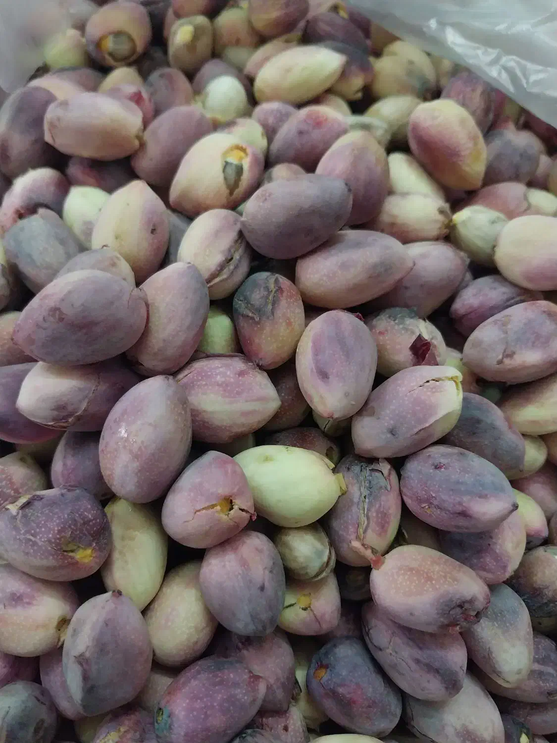 پسته کله قوچی|خوردنی و آشامیدنی|یزد, |دیوار