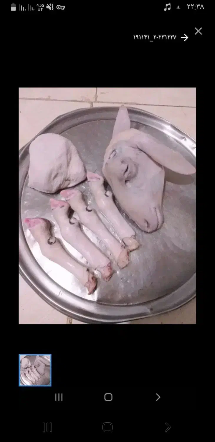 پاک کردن کله پاچه|خوردنی و آشامیدنی|جوانرود, |دیوار