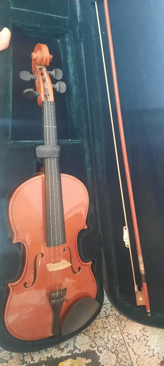 ویولن T.F 142 4/4|ویولن|شیروان (خراسان), |دیوار