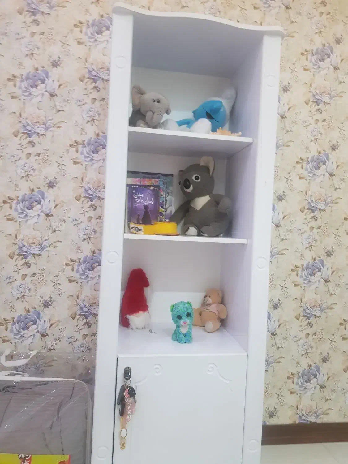 کتابخانه و بوفه نو نو|کتابخانه، شلف، قفسههای دیواری|مشهد, الهیه|دیوار