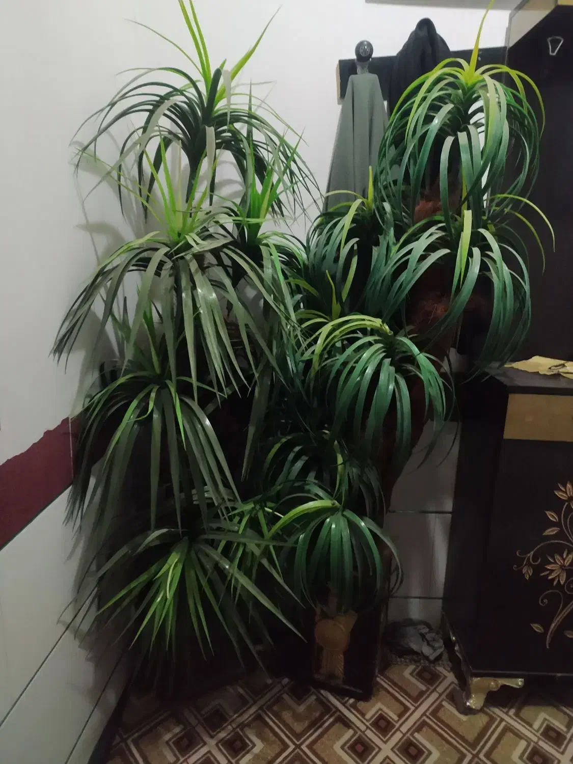 2عدد درختچه|گل و گیاه طبیعی|نظرآباد, شهرک سید جمال الدین|دیوار