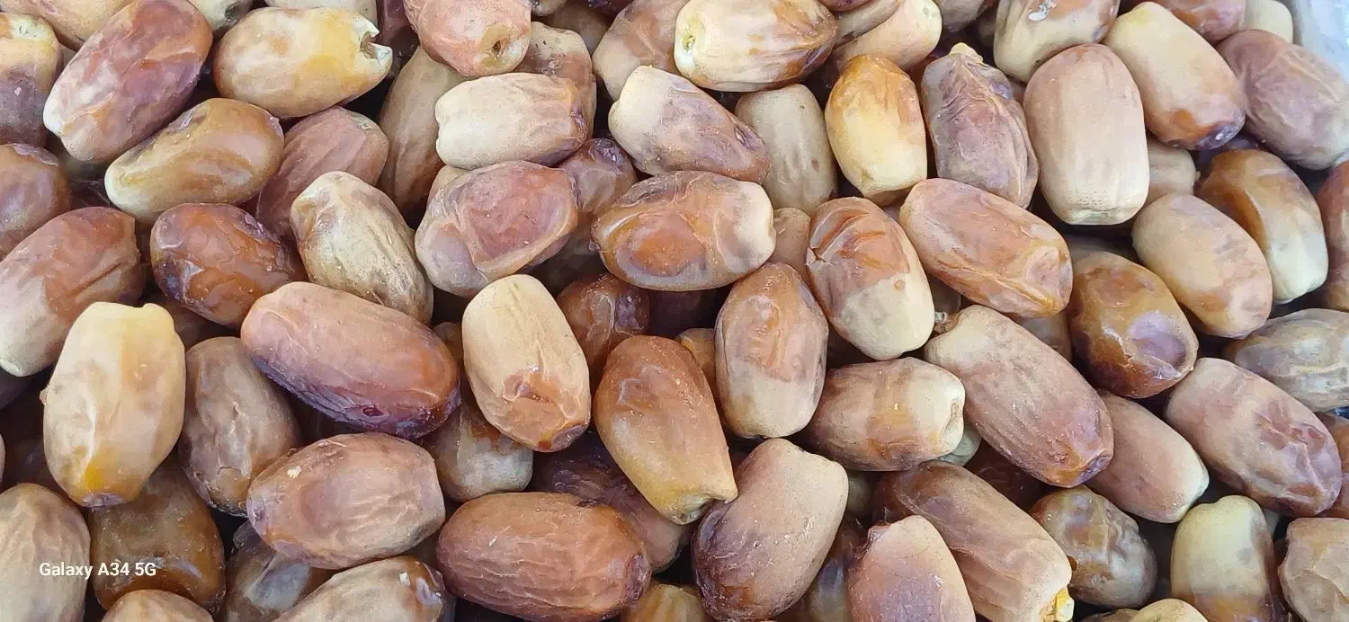 خرماصاداتی|خوردنی و آشامیدنی|شیبکوه (فارس), |دیوار