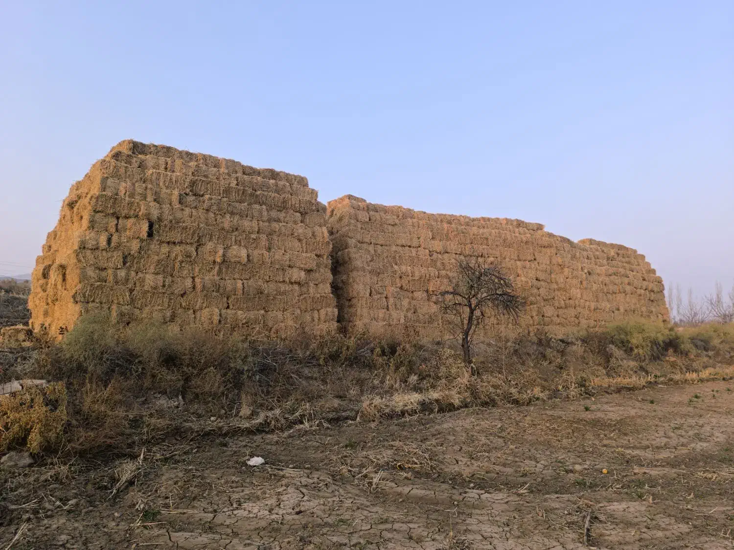 یونجه انباری|عمدهفروشی|ایواوغلی, |دیوار