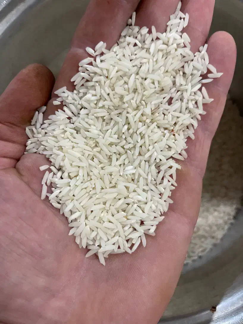 برنج هاشمی محصول خشکبیجار|خوردنی و آشامیدنی|رشت, بوسار|دیوار