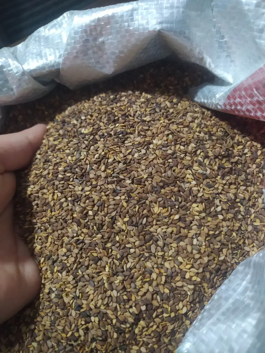 کنجد اصل محلی|خوردنی و آشامیدنی|اهواز, منازل سپاه|دیوار