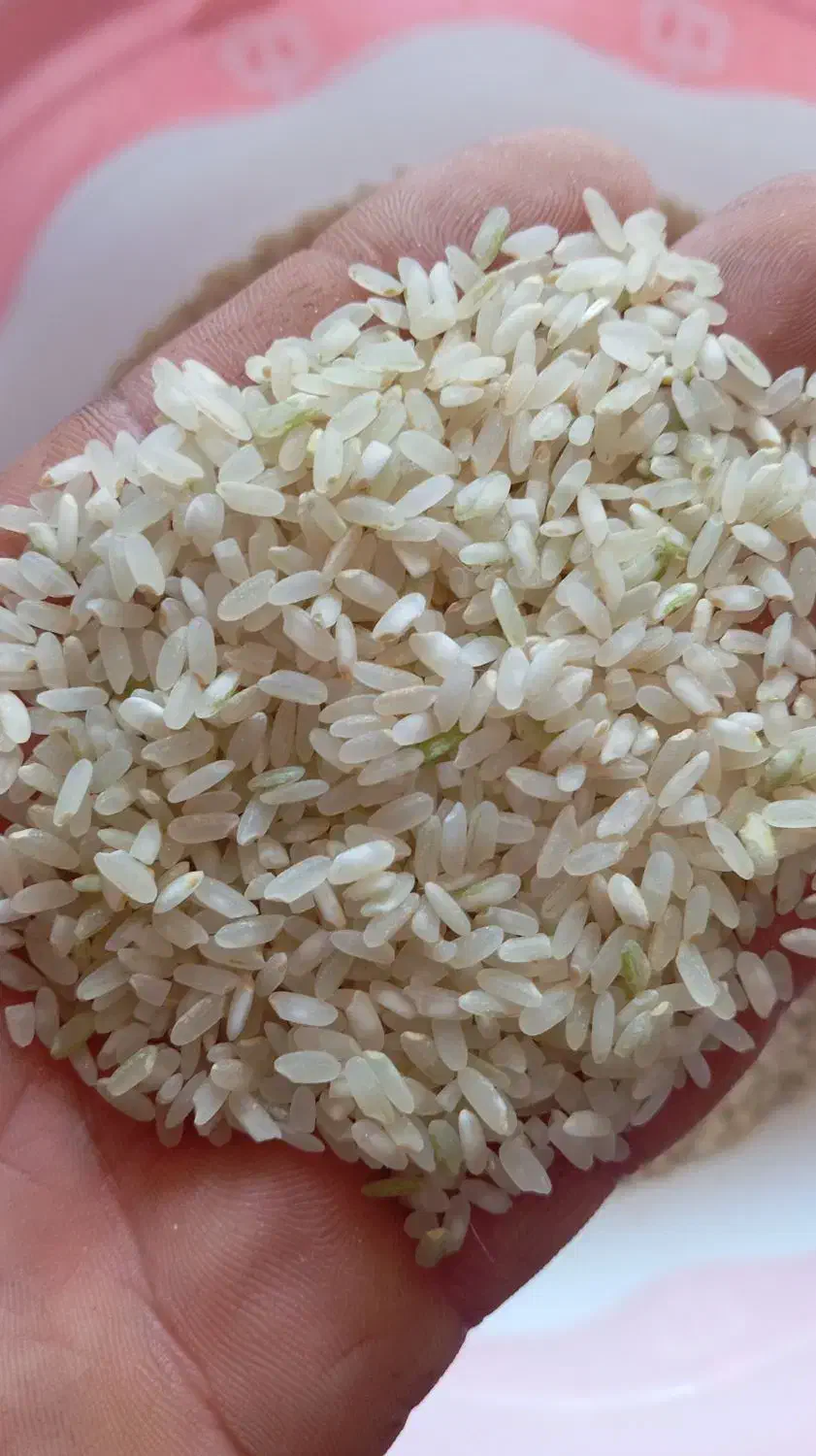 فروش|خوردنی و آشامیدنی|کامفیروز, |دیوار